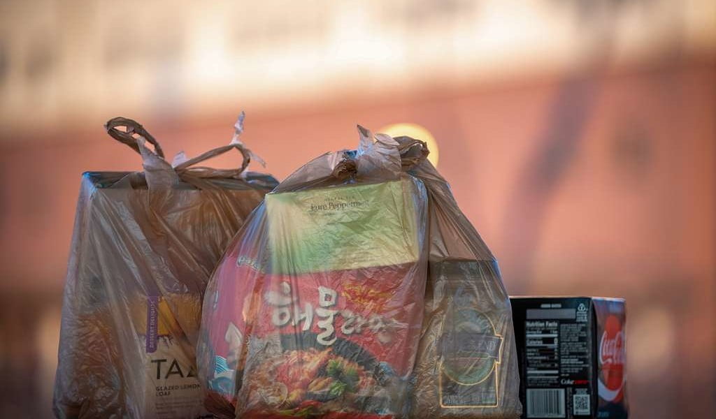 Why Do Some People in New Jersey Suddenly Have So Many Reusable Bags? - The  New York Times